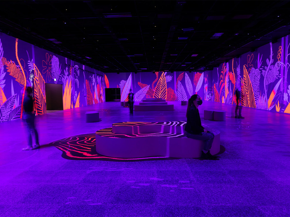 Design and power the most immersive and interactive exhibits with Vertex while the hardware disappears to provide your audience with an experience that transports guests into your creative environment.